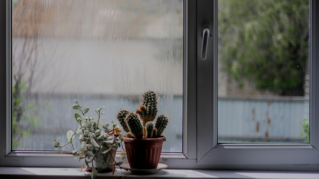 Rain on a conservatory window