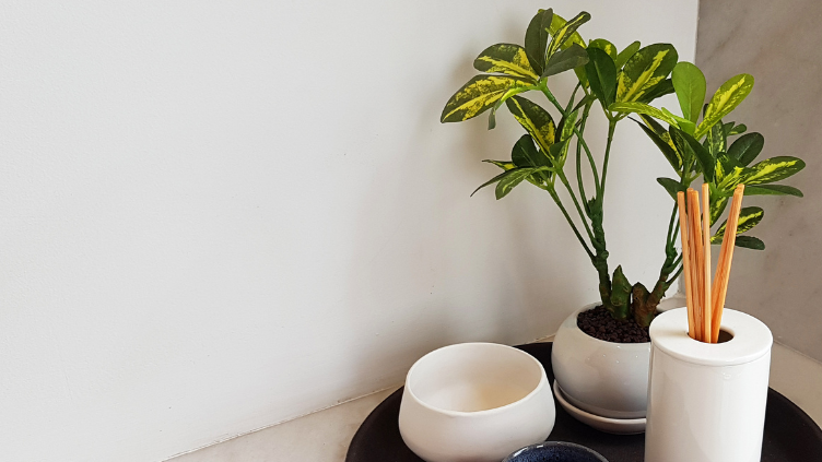 a table with a decorative bowl, a plant and some aromatherapy sticks