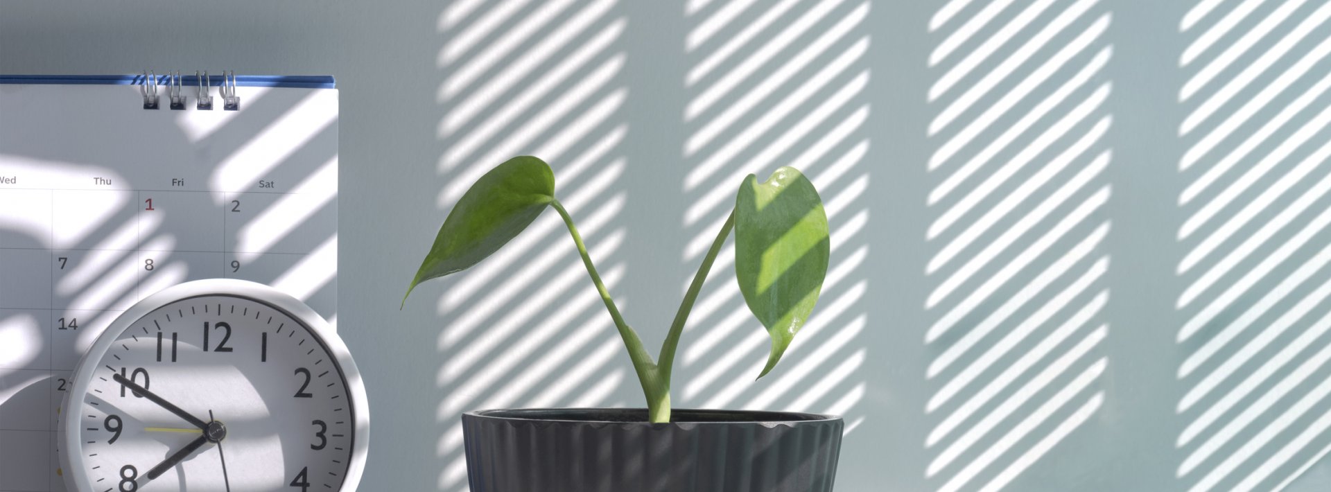 Conservatory Blinds