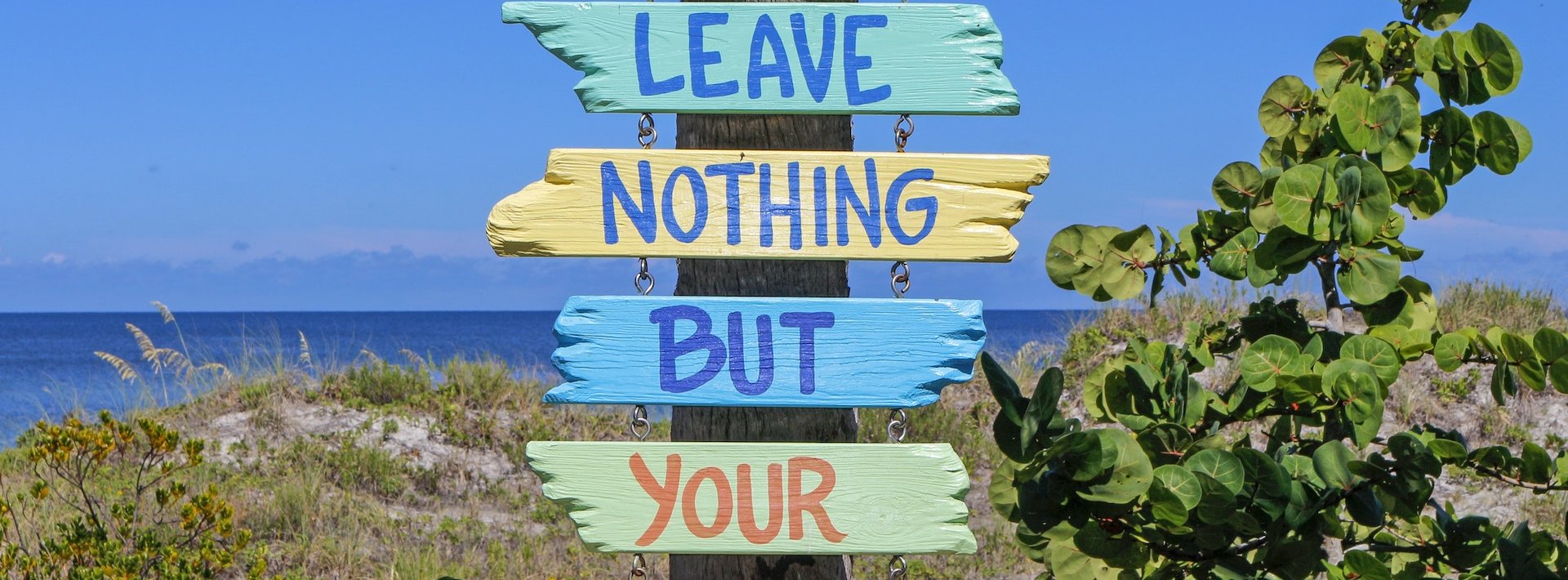 pexels-pixabay-164287